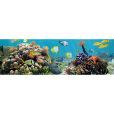 Экран фронтальный под ванну ВладЭК ПРЕСТИЖ 1500/1700х470, рыбки египта